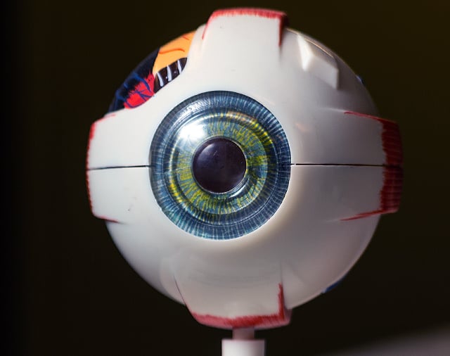 Robot eye